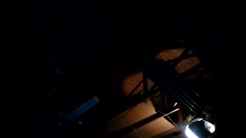 hbdj2164 online show from 11/26/25, 08:26