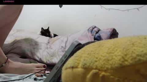 sofia online show from 12/04/25, 01:48