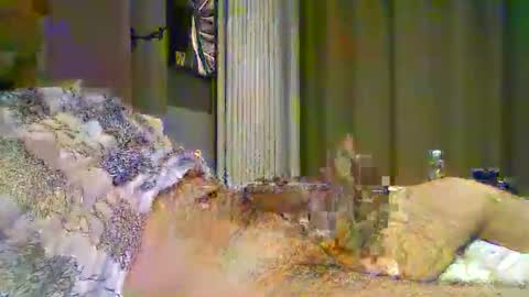 heddamedda59 online show from 04/03/26, 04:16