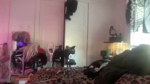 Bunnie Rotz online show from 11/25/25, 06:19