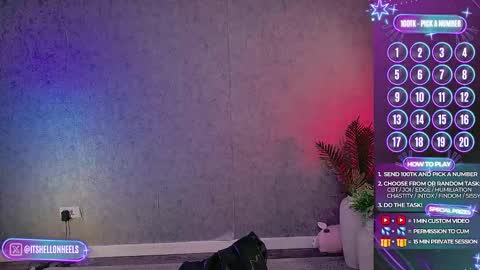 - show loyalty and subscribe -  online show from 11/17/25, 11:43