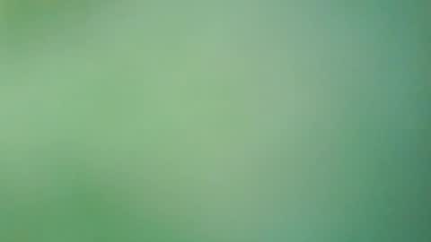 hello_night online show from 07/27/26, 08:16