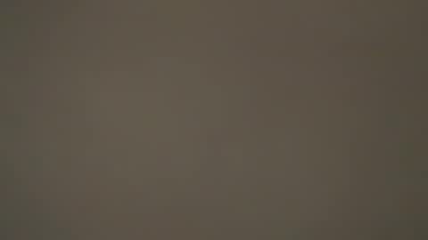 hellohowareyou66 online show from 03/31/26, 06:19