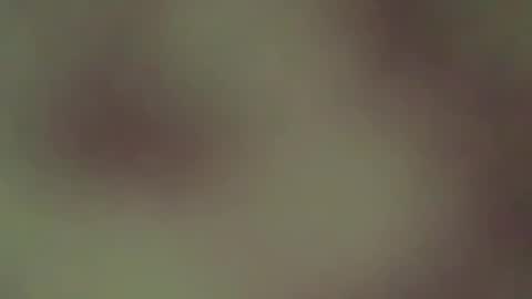 hellohowareyou66 online show from 04/21/26, 03:57