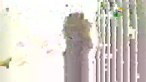 Snapshot of helloimhunny chatting on 01/07/26, 02:36 Hunnys Hive online show from 01/07/26, 02:36