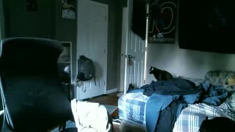 longhairbeardedguy online show from 04/10/26, 11:48