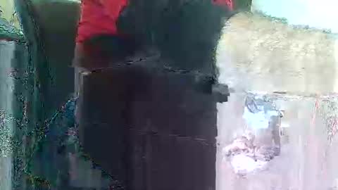 herbee510 online show from 12/20/25, 09:22