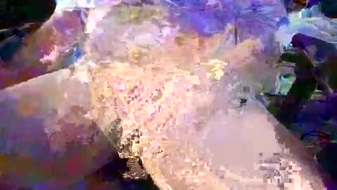 herletigre12345 online show from 10/26/25, 02:39