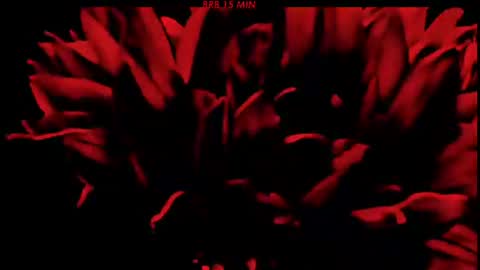 Sasha online show from 06/21/26, 07:16