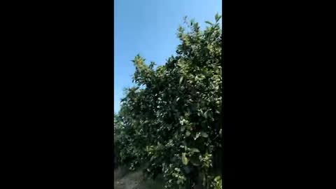 heterooli online show from 03/29/26, 04:29