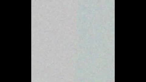 salem online show from 02/25/26, 08:24