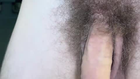 Arnold online show from 11/17/25, 09:42