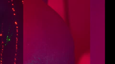 Alina online show from 12/11/24, 08:18