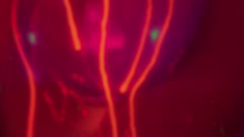 Alina online show from 12/14/24, 07:25