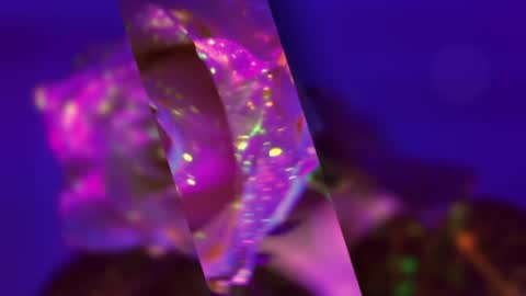 Alina online show from 01/19/25, 07:26