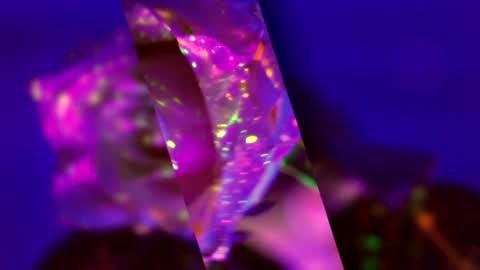 Alina online show from 03/15/26, 05:08