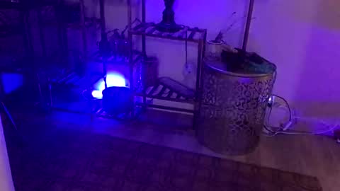 FlexieFae online show from 01/03/25, 07:49