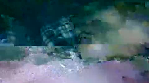 MR. Bation online show from 02/17/26, 01:13