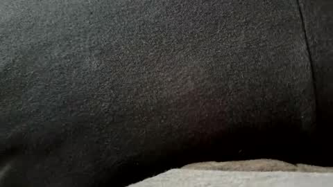 higheguy online show from 02/20/26, 05:46