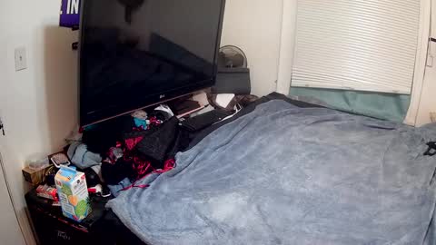 Highnesscali37 online show from 12/15/24, 12:28