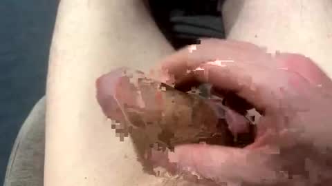 higradez online show from 03/24/26, 07:52