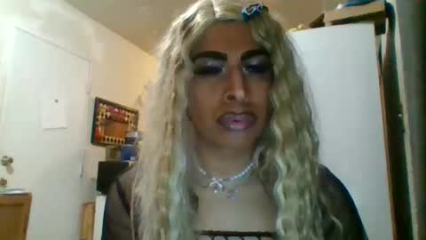 hihheelstranny online show from 02/28/26, 09:32