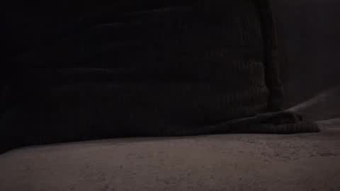 hikinxxx online show from 11/12/25, 03:18