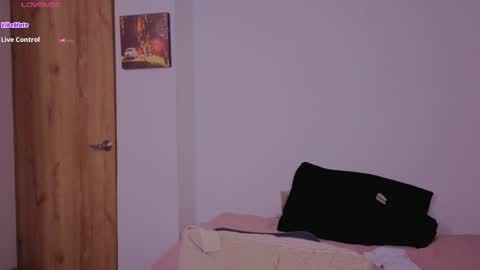 Next stream saturday night  online show from 11/04/25, 05:50