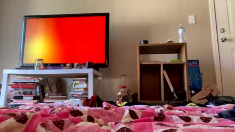 angelbabi online show from 12/11/24, 08:07