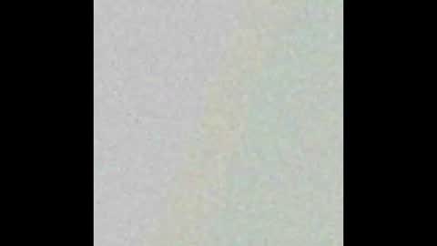 Hung top 4 furry dads online show from 03/09/25, 01:26