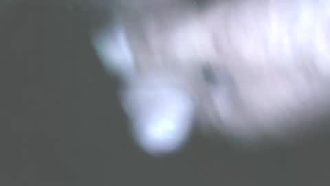 hofnung online show from 06/01/26, 11:39