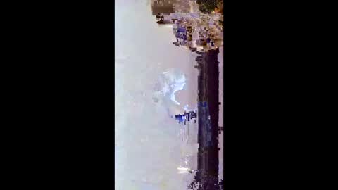 hoglegg99384194 online show from 01/15/26, 11:48