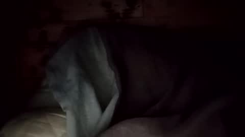 Snapshot of hoioi197777 chatting on 11/03/25, 05:42 hoioi197777 online show from 11/03/25, 05:42