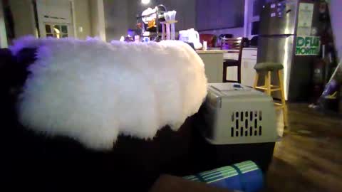 Jjjmoney93 online show from 10/03/25, 04:09