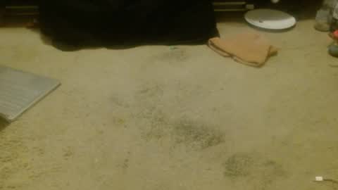 Holly Hawkes online show from 04/17/26, 12:30