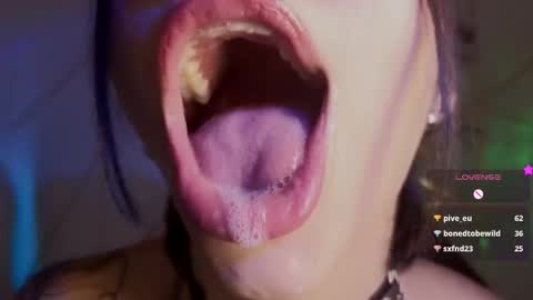 holly online show from 02/03/26, 05:40