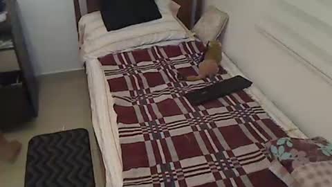 Holofernes45gil online show from 04/03/26, 07:17