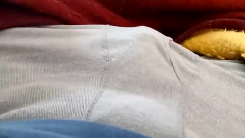 Snapshot of holycannoli123 chatting on 02/05/26, 03:49 holycannoli123 online show from 02/05/26, 03:49