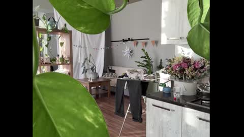 dori not holy get my tg channel with link from description under last photo online show from 01/08/26, 12:40