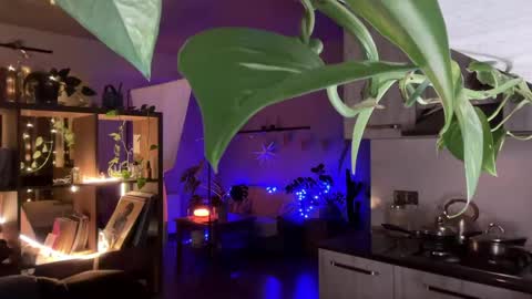 dori not holy get my tg channel with link from description under last photo online show from 04/20/26, 07:48