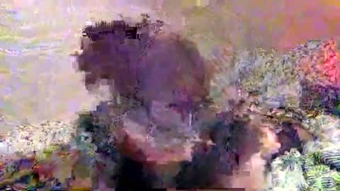 hometownwitch online show from 11/25/25, 06:19