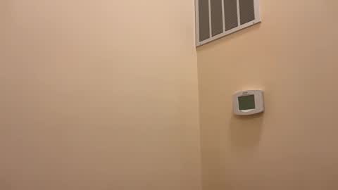 honey_man14 online show from 02/26/26, 05:56