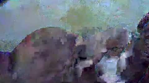 Snapshot of honey_sunshiny chatting on 02/03/26, 06:51 honey_sunshiny online show from 02/03/26, 06:51