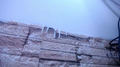 Victoria online show from 04/04/26, 08:34