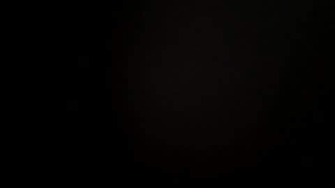 hookdick105799 online show from 02/17/26, 06:32