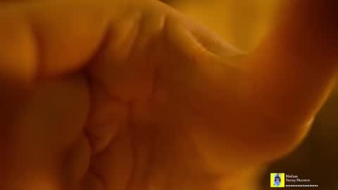 Horney Jozy online show from 11/07/25, 06:52