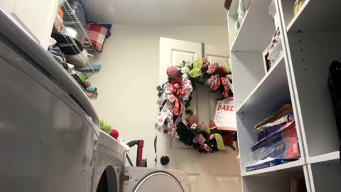 hornieecum online show from 01/20/25, 11:24