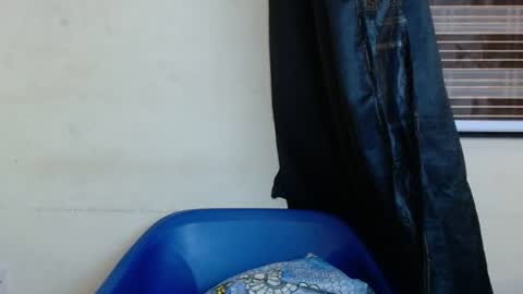 horny4bum online show from 03/01/25, 07:48