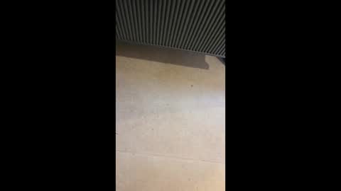 horny4more691 online show from 03/10/26, 06:57