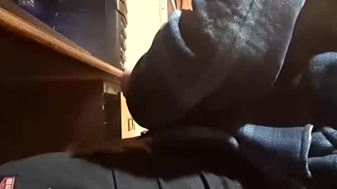 Dominick Subversal online show from 11/01/25, 05:26